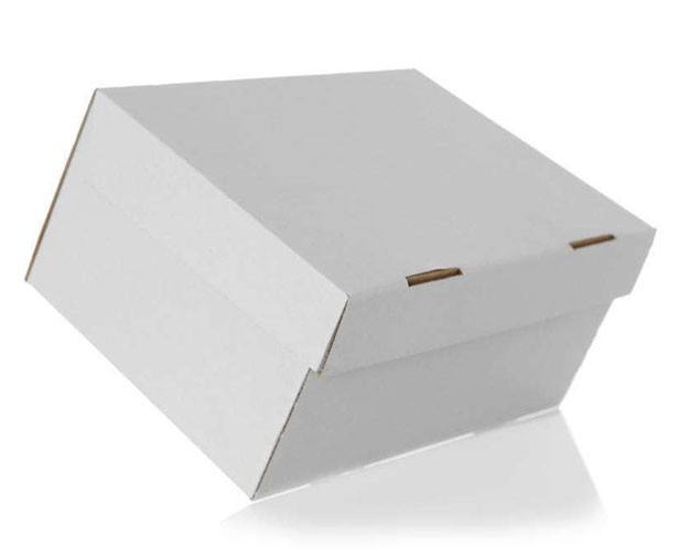 UHF Digitale HDTV Aanvaardbaar de Antenneoem en ODM van VHF 10